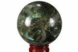 Bargain, Flashy, Polished Labradorite Sphere - Great Color Play #99389-2